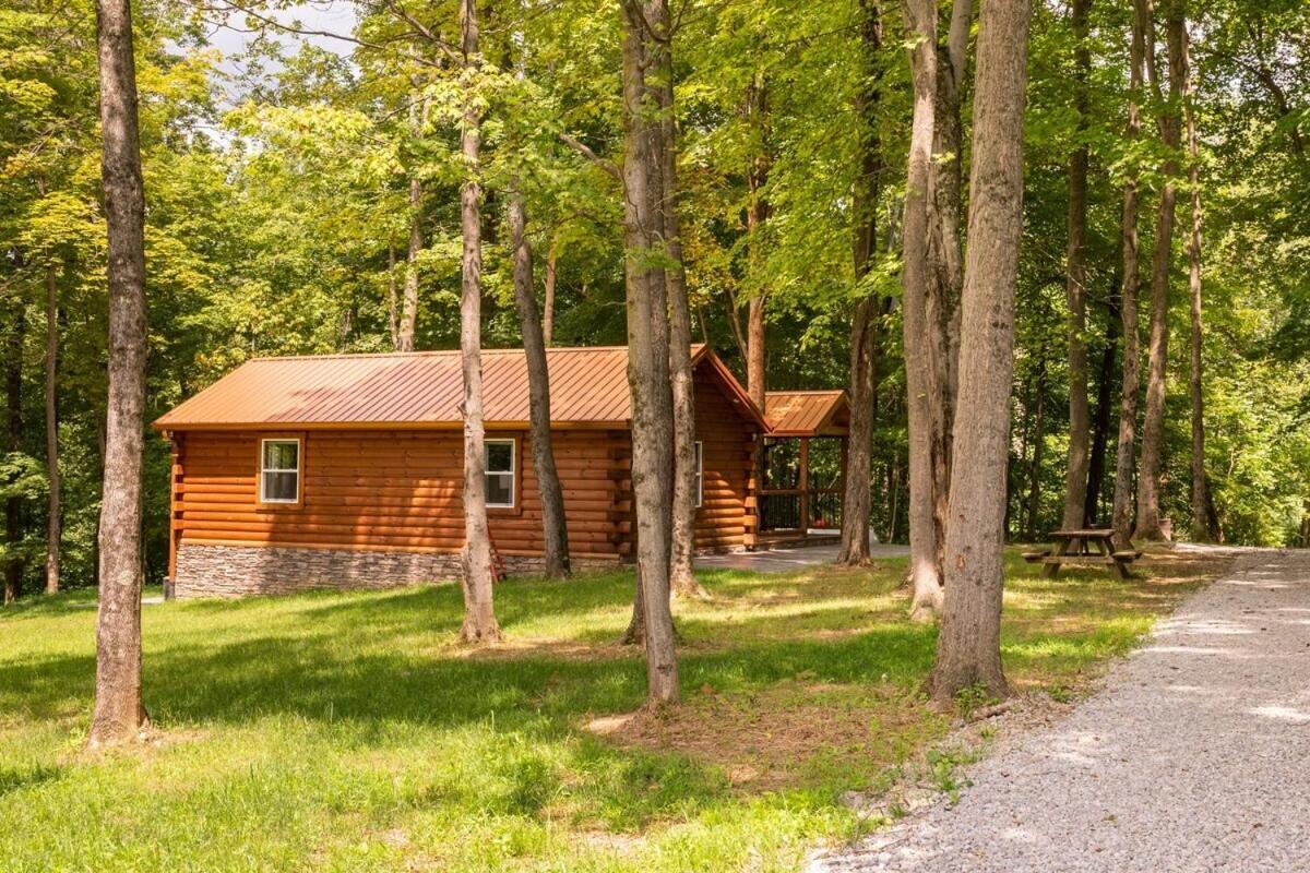 Secluded Wooded Cabin Near The Hocking Hills New Straitsville Exteriör bild
